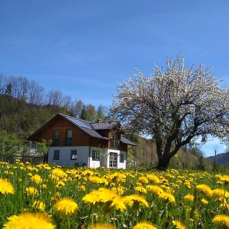 Apartamento Gaestehaus Blonbauer Schladming Exterior foto